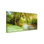 Tablou fosforescent Salcie