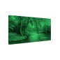 Tablou fosforescent Salcie
