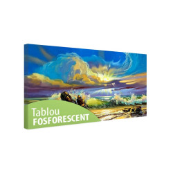 Tablou fosforescent Apus de soare pe malul marii