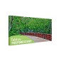 Tablou fosforescent Alee in gradina
