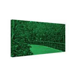 Tablou fosforescent Alee in gradina