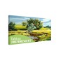 Tablou fosforescent Linistea verii