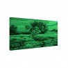 Tablou fosforescent Linistea verii
