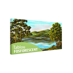 Tablou fosforescent Lac de munte