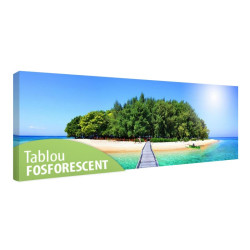 Tablou fosforescent Insula