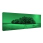 Tablou fosforescent Insula