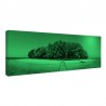 Tablou fosforescent Insula