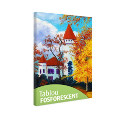 Tablou fosforescent Castel alb
