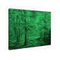 Tablou fosforescent Padure de toamna