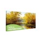 Tablou fosforescent Lacul din padure Tablou fosforescent Lacul din padure