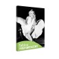 Tablou fosforescent Marilyn