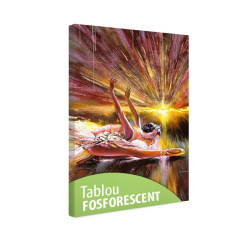 Tablou fosforescent Balerina 
