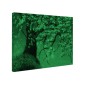 Tablou fosforescent Ramura de cires 