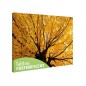 Tablou fosforescent Copac ingalbenit 