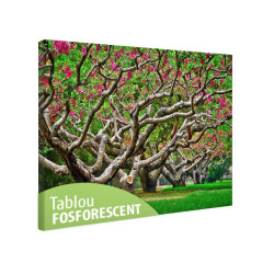 Tablou fosforescent Piersici infloriti 