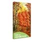 Tablou fosforescent Toamna in padure Tablou fosforescent Toamna in padure