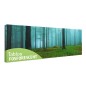 Tablou fosforescent Dimineata in padure Tablou fosforescent Dimineata in padure