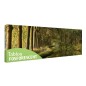 Tablou fosforescent Tunel de copaci
