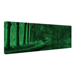 Tablou fosforescent Tunel de copaci