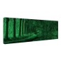 Tablou fosforescent Tunel de copaci