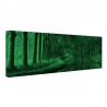 Tablou fosforescent Tunel de copaci