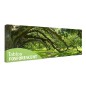 Tablou fosforescent Copaci batrani Tablou fosforescent Copaci batrani