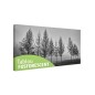 Tablou fosforescent Ceata 