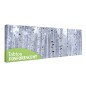 Tablou fosforescent Padure de mesteacan Tablou fosforescent Padure de mesteacan