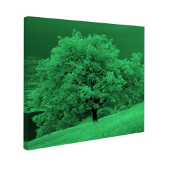 Tablou fosforescent Copac iarna 