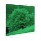 Tablou fosforescent Copac iarna Tablou fosforescent Copac iarna