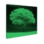 Tablou fosforescent Copac alb Tablou fosforescent Copac alb