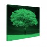 Tablou fosforescent Copac alb