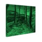 Tablou fosforescent Drum de toamna