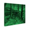 Tablou fosforescent Drum de toamna