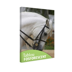 Tablou fosforescent Campion 