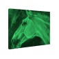 Tablou fosforescent Cal albastru Tablou fosforescent Cal albastru