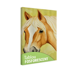 Tablou fosforescent Cal Haflinger 