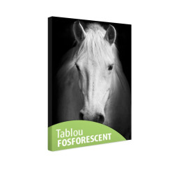 Tablou fosforescent Portret de cal alb