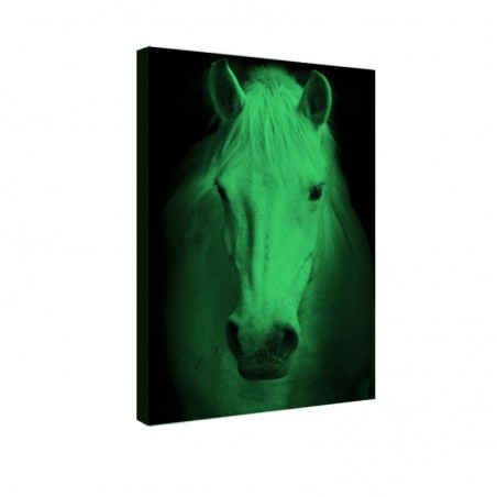 Tablou fosforescent Portret de cal alb