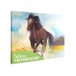 Tablou fosforescent Cal in galop Tablou fosforescent Cal in galop