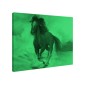 Tablou fosforescent Cal in galop Tablou fosforescent Cal in galop