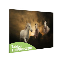 Tablou fosforescent Trei cai albi 