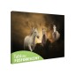 Tablou fosforescent Trei cai albi Tablou fosforescent Trei cai albi