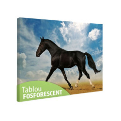 Tablou fosforescent Cal negru in desert 