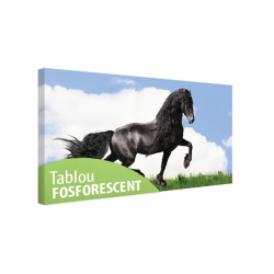 Tablou fosforescent Cal negru pe pajiste 