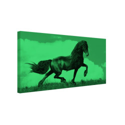 Tablou fosforescent Cal negru pe pajiste 