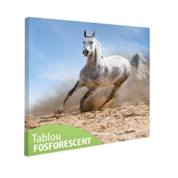 Tablou fosforescent Armasar salbatic 