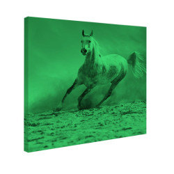 Tablou fosforescent Armasar salbatic 