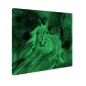 Tablou fosforescent Cal alb Tablou fosforescent Cal alb