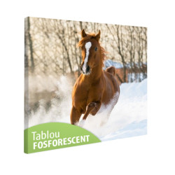 Tablou fosforescent Manz prin zapada 